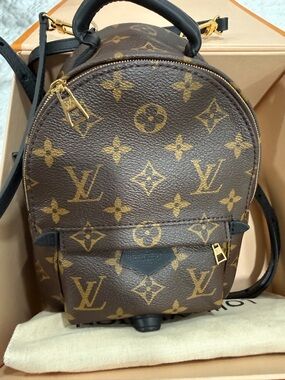 Louis Vuitton Palm Springs Mini Backpack **Updated Zipper Version**